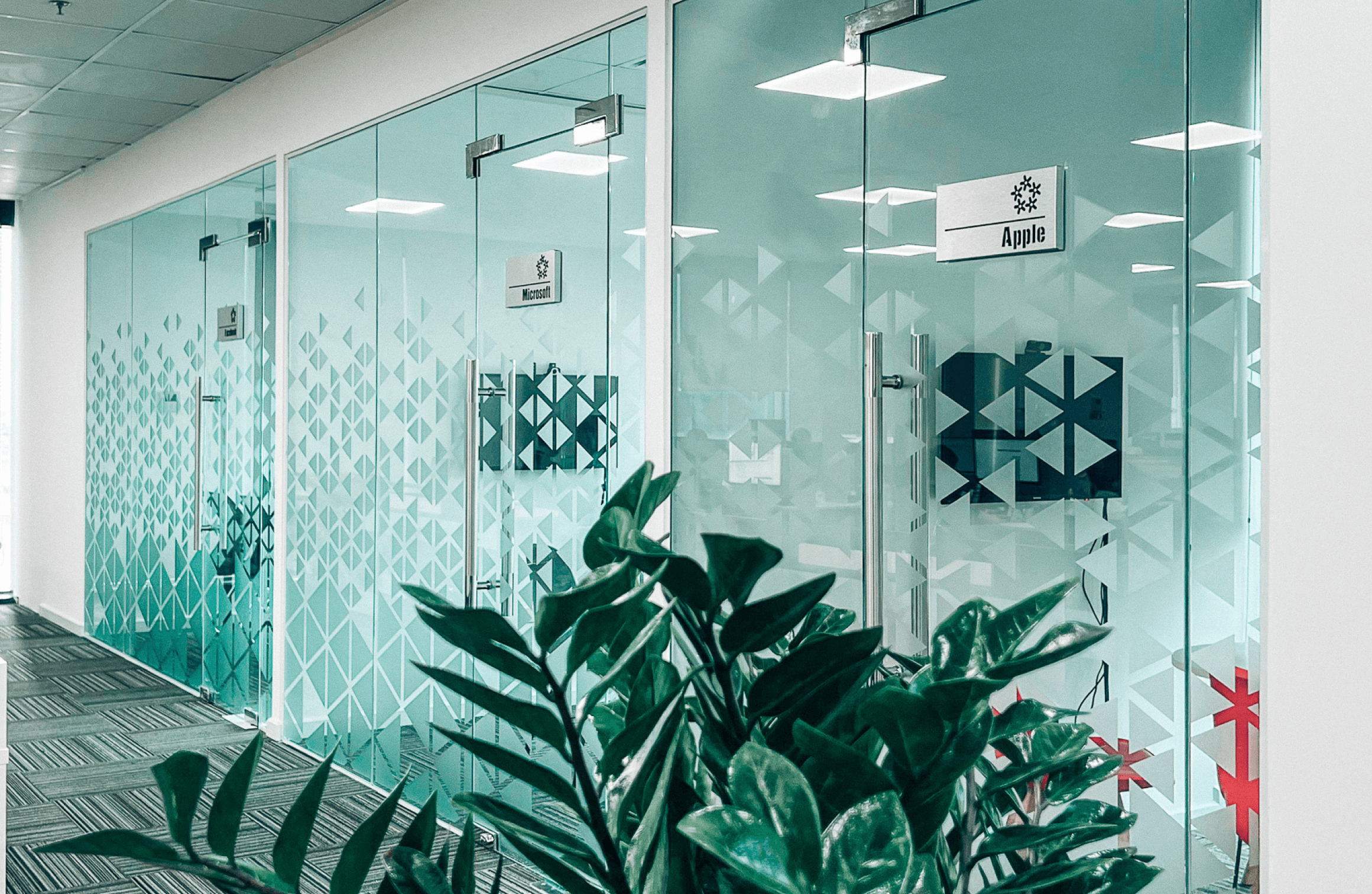 We Ensure Data and Application Security in the Development Office.